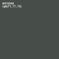 #474D48 - Gravel Color Image
