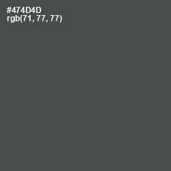 #474D4D - Gravel Color Image