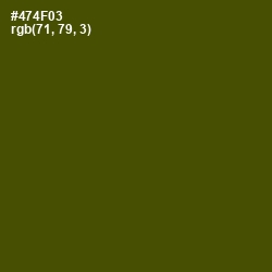 #474F03 - Bronze Olive Color Image