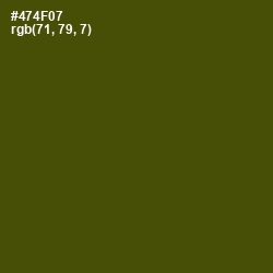 #474F07 - Bronze Olive Color Image