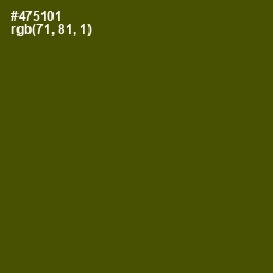 #475101 - Verdun Green Color Image