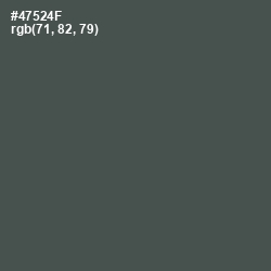 #47524F - Gray Asparagus Color Image