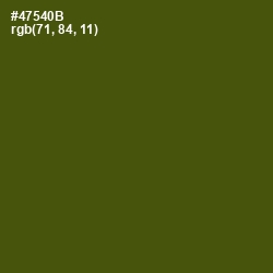 #47540B - Verdun Green Color Image