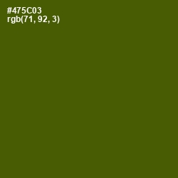 #475C03 - Verdun Green Color Image