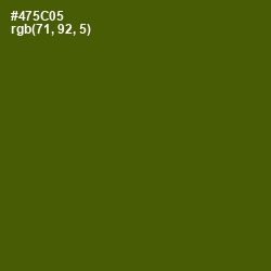 #475C05 - Verdun Green Color Image