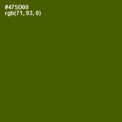 #475D00 - Verdun Green Color Image