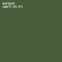 #475D39 - Kelp Color Image