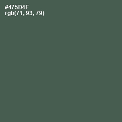 #475D4F - Gray Asparagus Color Image