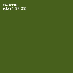 #47611D - Green Leaf Color Image