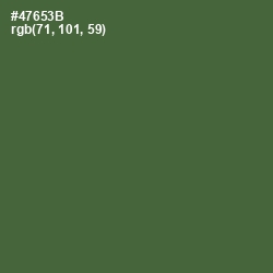 #47653B - Chalet Green Color Image