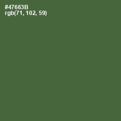 #47663B - Chalet Green Color Image