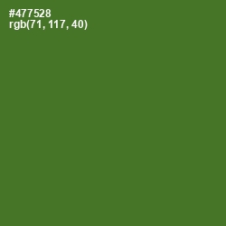 #477528 - Chalet Green Color Image