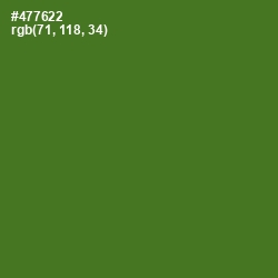 #477622 - Chalet Green Color Image