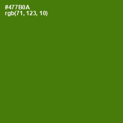 #477B0A - Green Leaf Color Image