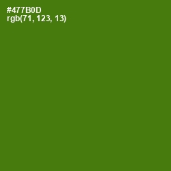 #477B0D - Green Leaf Color Image