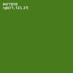 #477B1B - Green Leaf Color Image