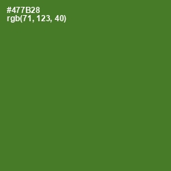 #477B28 - Chalet Green Color Image