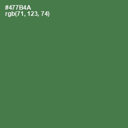 #477B4A - Fern Green Color Image