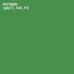 #47904B - Hippie Green Color Image