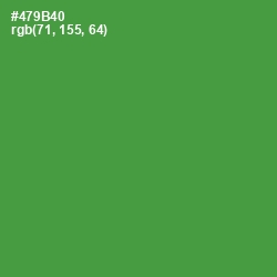 #479B40 - Hippie Green Color Image