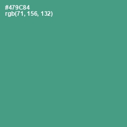 #479C84 - Smalt Blue Color Image