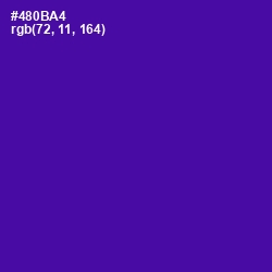 #480BA4 - Daisy Bush Color Image