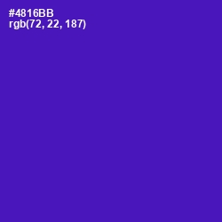 #4816BB - Daisy Bush Color Image