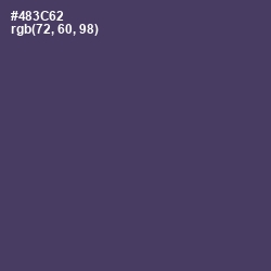 #483C62 - Voodoo Color Image