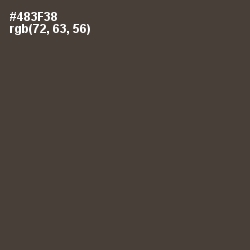 #483F38 - Armadillo Color Image