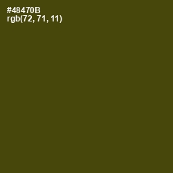 #48470B - Bronze Olive Color Image