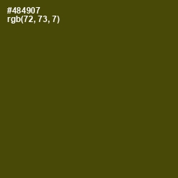 #484907 - Bronze Olive Color Image
