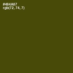 #484A07 - Bronze Olive Color Image