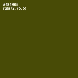 #484B05 - Bronze Olive Color Image