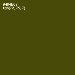 #484B07 - Bronze Olive Color Image