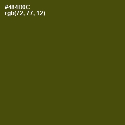 #484D0C - Bronze Olive Color Image