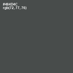 #484D4C - Gravel Color Image