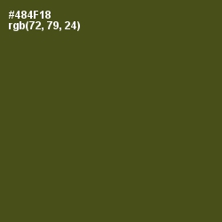 #484F18 - Bronzetone Color Image