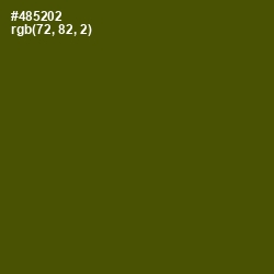 #485202 - Verdun Green Color Image
