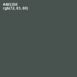 #485350 - Nandor Color Image