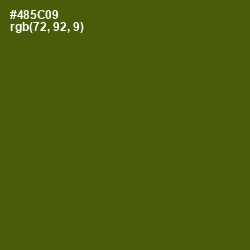 #485C09 - Verdun Green Color Image