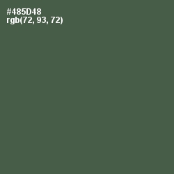 #485D48 - Gray Asparagus Color Image
