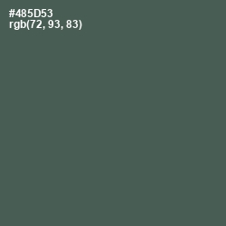 #485D53 - Nandor Color Image