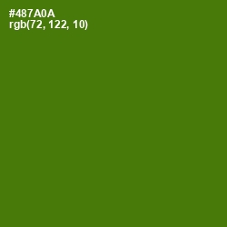 #487A0A - Green Leaf Color Image