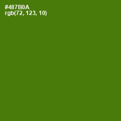 #487B0A - Green Leaf Color Image