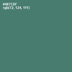 #487C6F - Faded Jade Color Image