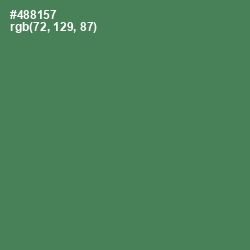 #488157 - Hippie Green Color Image