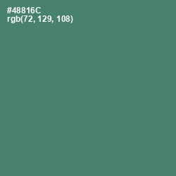 #48816C - Viridian Color Image