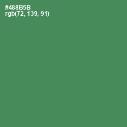 #488B5B - Fruit Salad Color Image