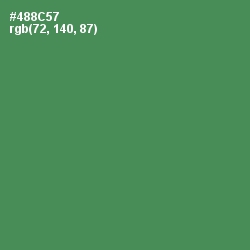 #488C57 - Hippie Green Color Image