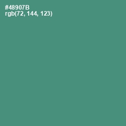 #48907B - Viridian Color Image